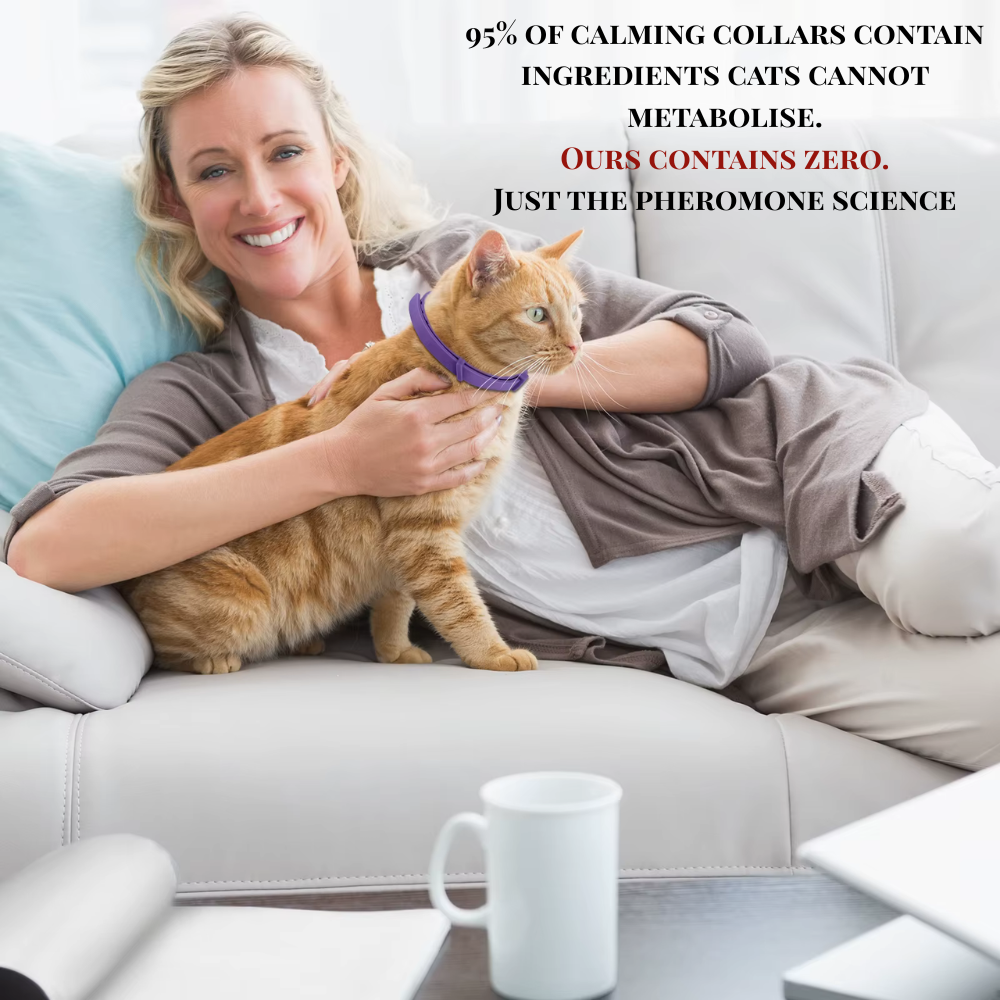 CalmaCollar™